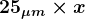 \large\boldsymbol{25_{\mu m} \times x}