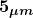 \boldsymbol{5_{\mu m}}