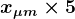 \large\boldsymbol{x_{\mu m} \times 5}