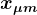 \large\boldsymbol{x_{\mu m}}