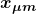 \boldsymbol{x_{\mu m}}