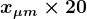 \large\boldsymbol{x_{\mu m} \times 20}