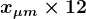 \large\boldsymbol{x_{\mu m} \times 12}