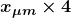 \boldsymbol{x_{\mu m} \times 4}