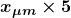 \boldsymbol{x_{\mu m} \times 5}