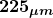 \boldsymbol{225_{\mu m}}