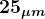 \large\boldsymbol{25_{\mu m}}