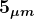 \large\boldsymbol{5_{\mu m}}