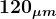 \large\boldsymbol{120_{\mu m}}