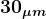 \large\boldsymbol{30_{\mu m}}